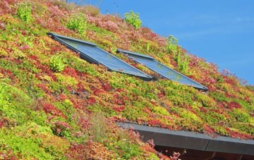 Upton Hellions living roof systems