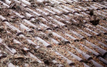 Upton Hellions roof cleaning companies